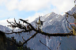 黄龙 雪山