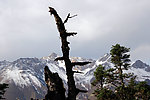 黄龙雪山