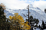 黄龙 雪山