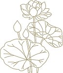 矢量荷花