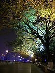 公园夜景