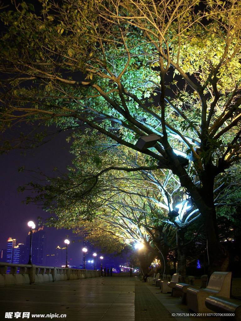 公园夜景