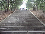 台阶