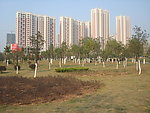 高楼大厦