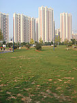 高楼大厦