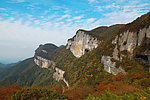 金佛山彩林