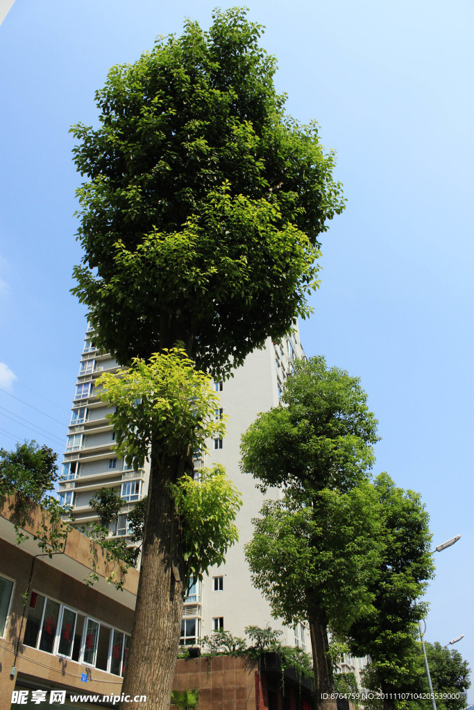 自然 建筑