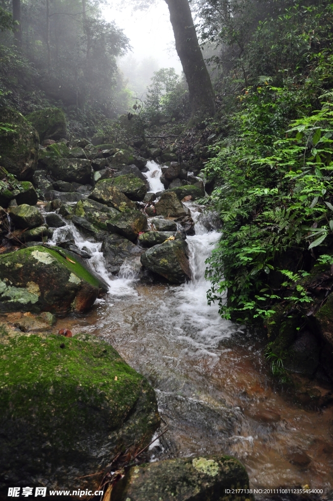 山林小溪流