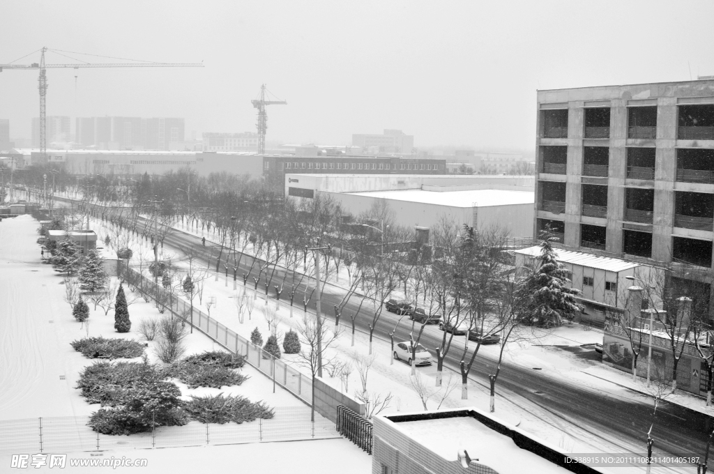 北京 雪景