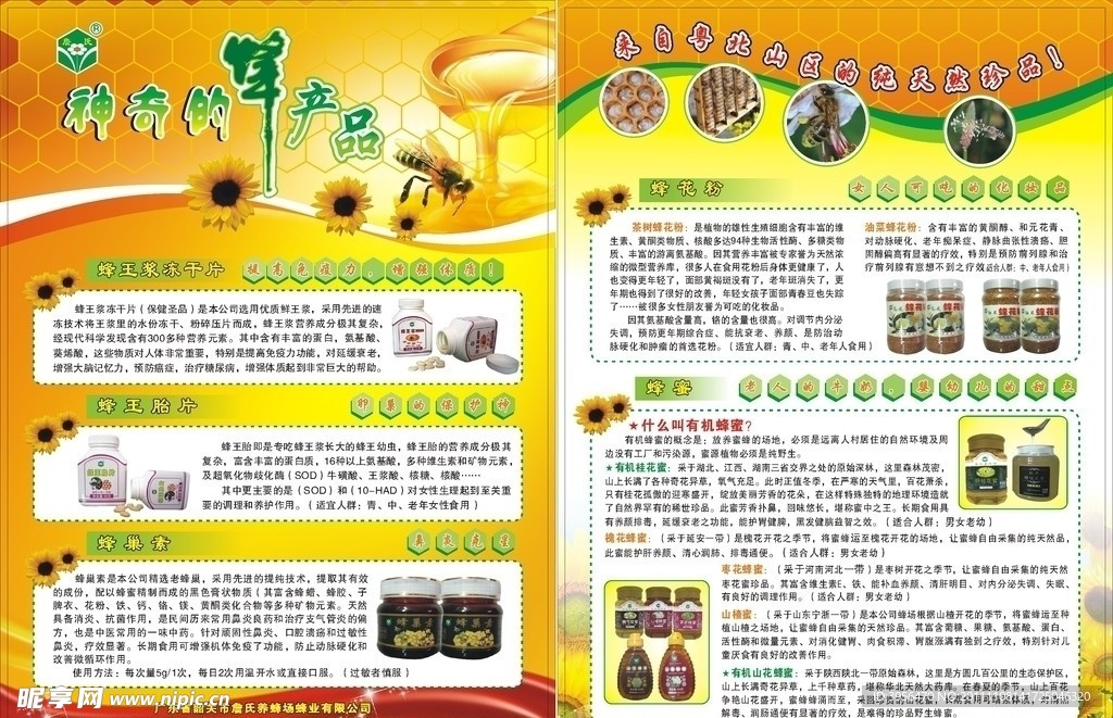 神奇的蜂蜜单张