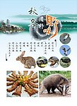 野味海报