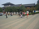 森林公园