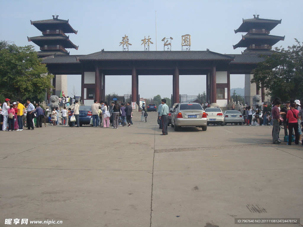 森林公园