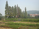 园林风景