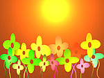 花纹
