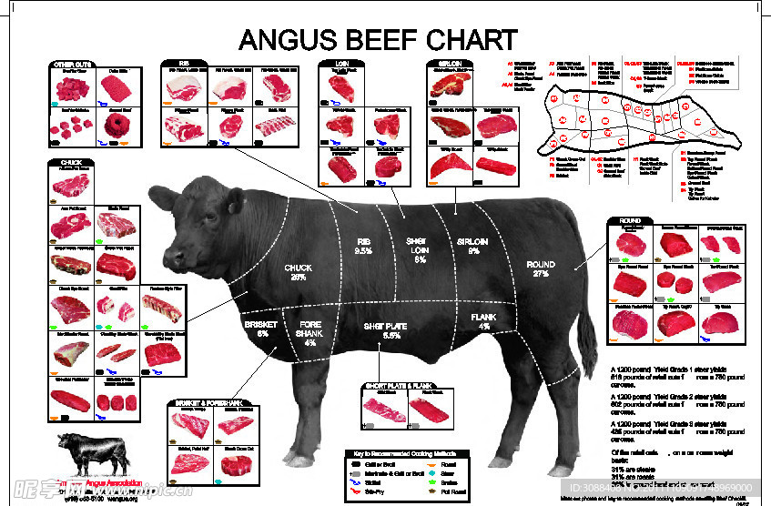 牛结构图