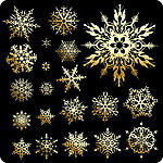 雪花金色花纹