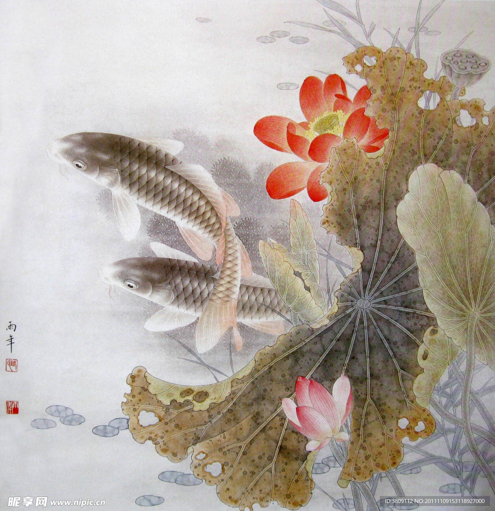 鲤鱼国画
