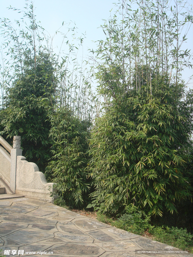 园林风景