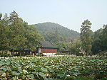 园林风景