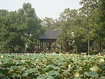 园林风景