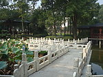 园林风景