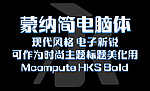 蒙纳简电脑体