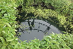 观赏水池