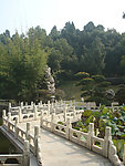 园林景观