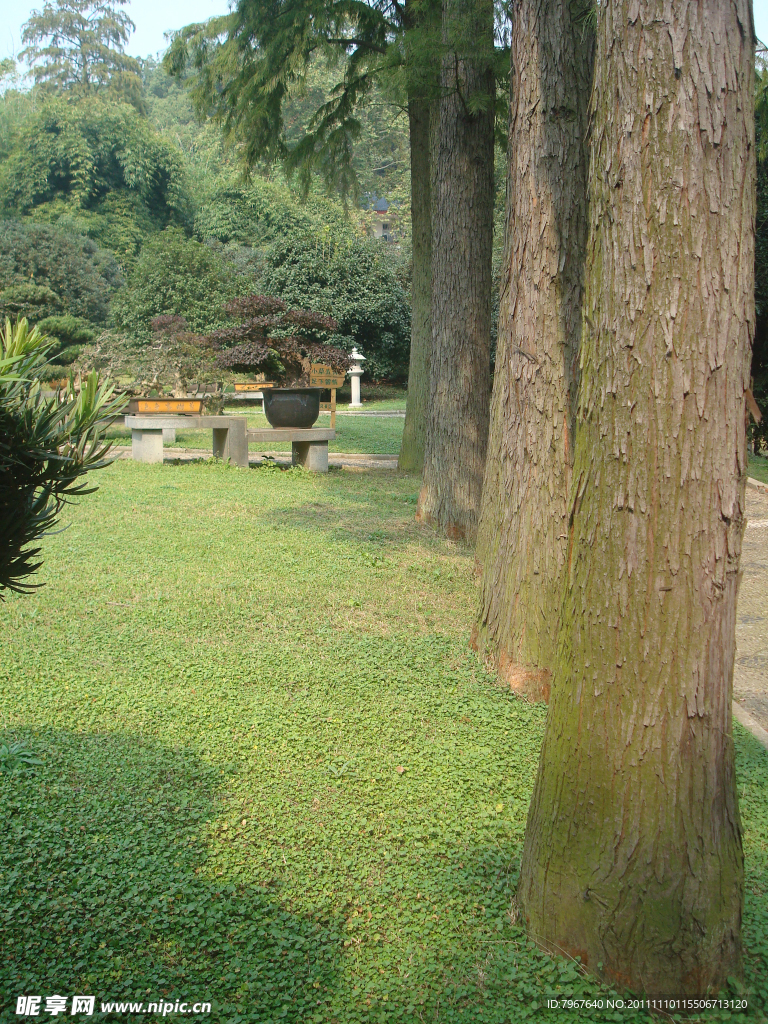 园林风景