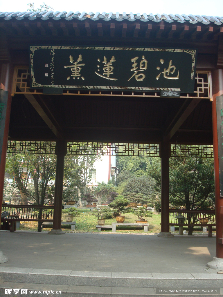 园林风景