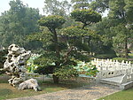 园林景观