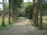 园林风景