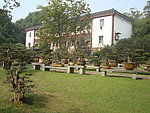 园林风景