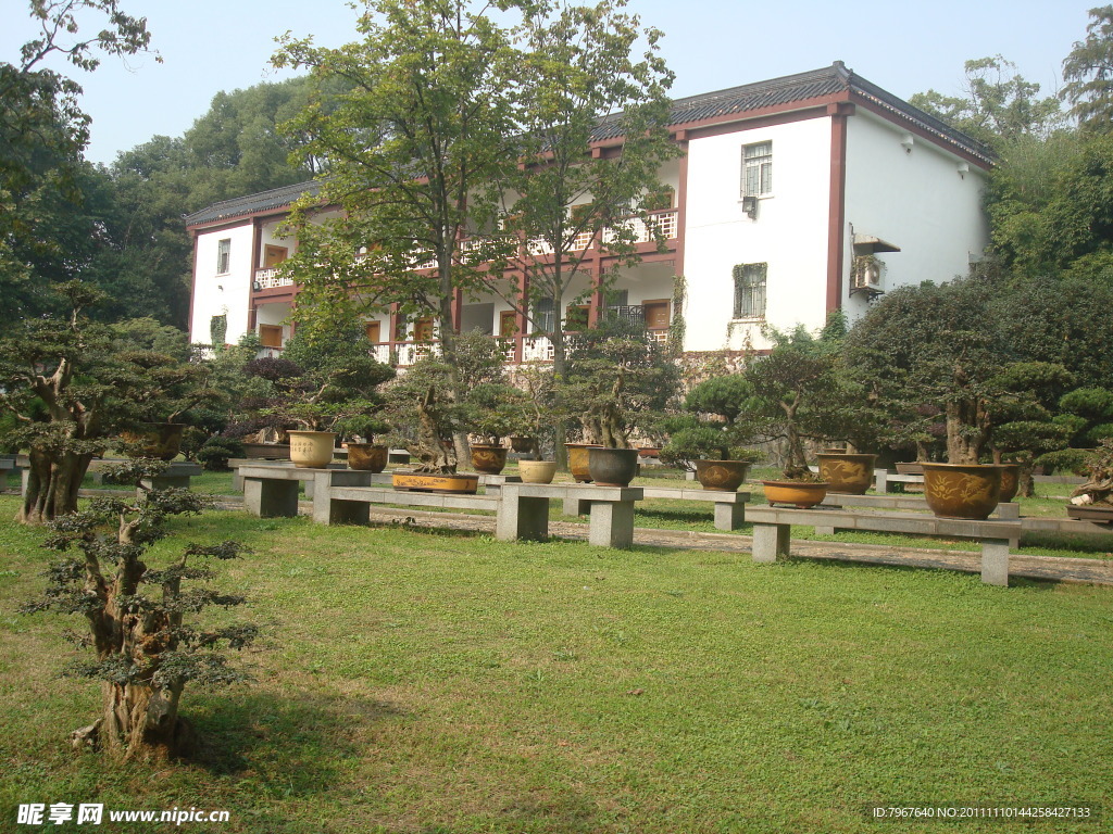 园林风景