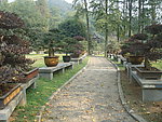 园林景观