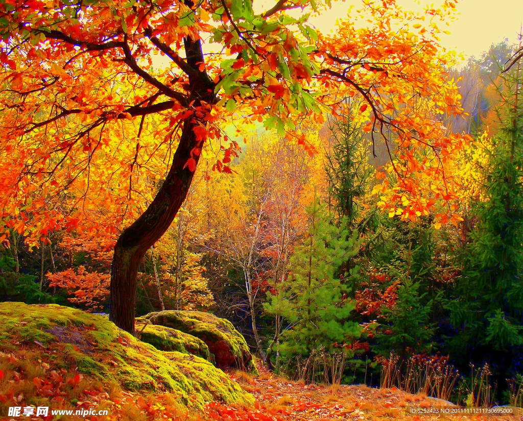秋季美景