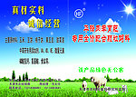 蓝天白云 绿草地 阳光