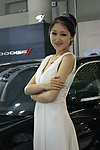 美女车模