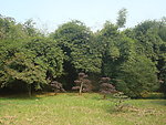园林风景