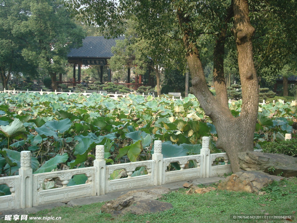 园林风景
