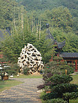 园林风景