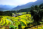 太行山风景