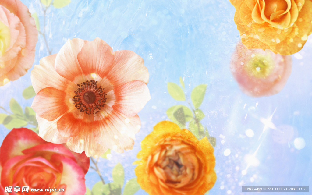 花朵
