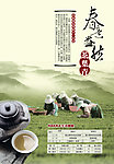 春意盎然