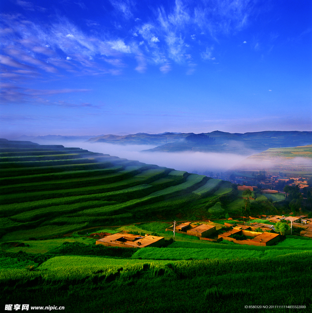绿色田地