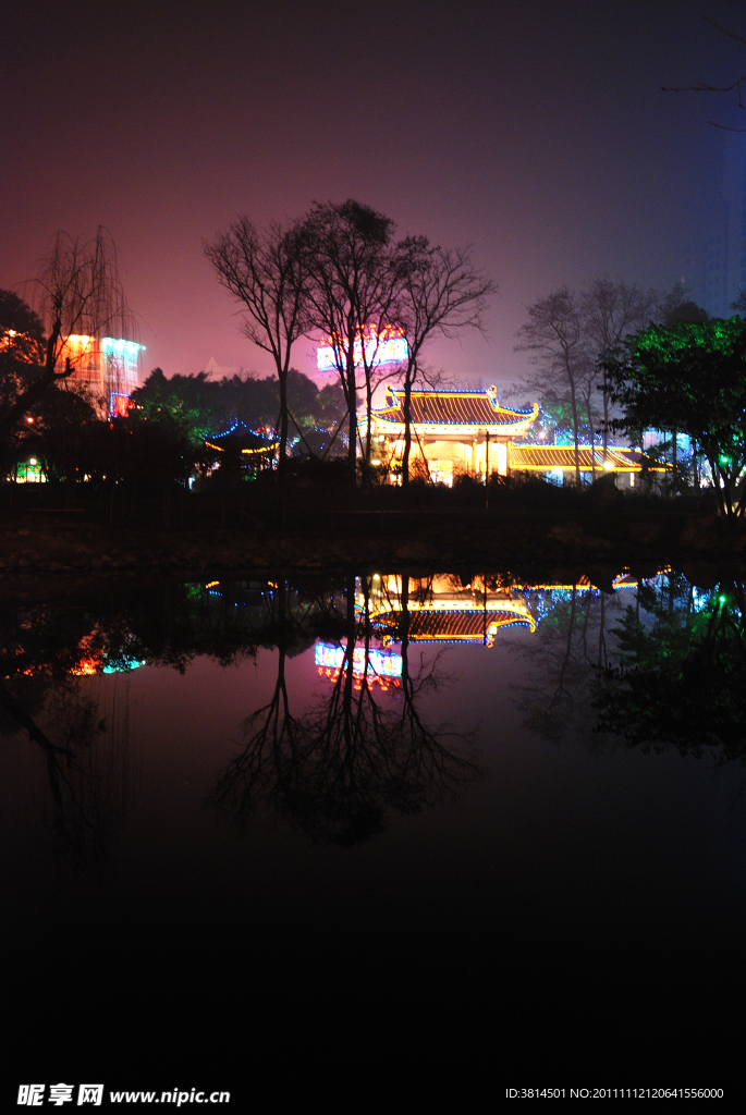 桂湖夜景