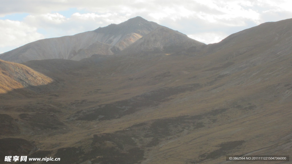 米拉山风景