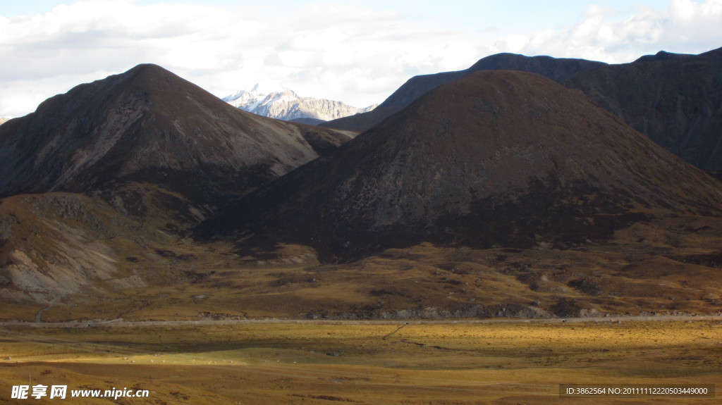 米拉山风景