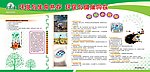 6 5环境日
